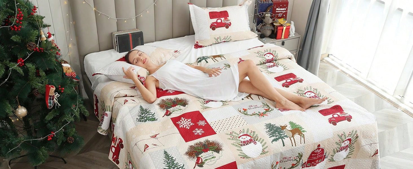 Christmas Quilt Set Twin Full/Queen King Size Xmas Red Beige Plaid Snowman Christmas Car Quilts Lightweight Reversible Bedspread Coverlet Christmas Birds Snowflake Elk Bedding Set Gift for Kids Adults Beige